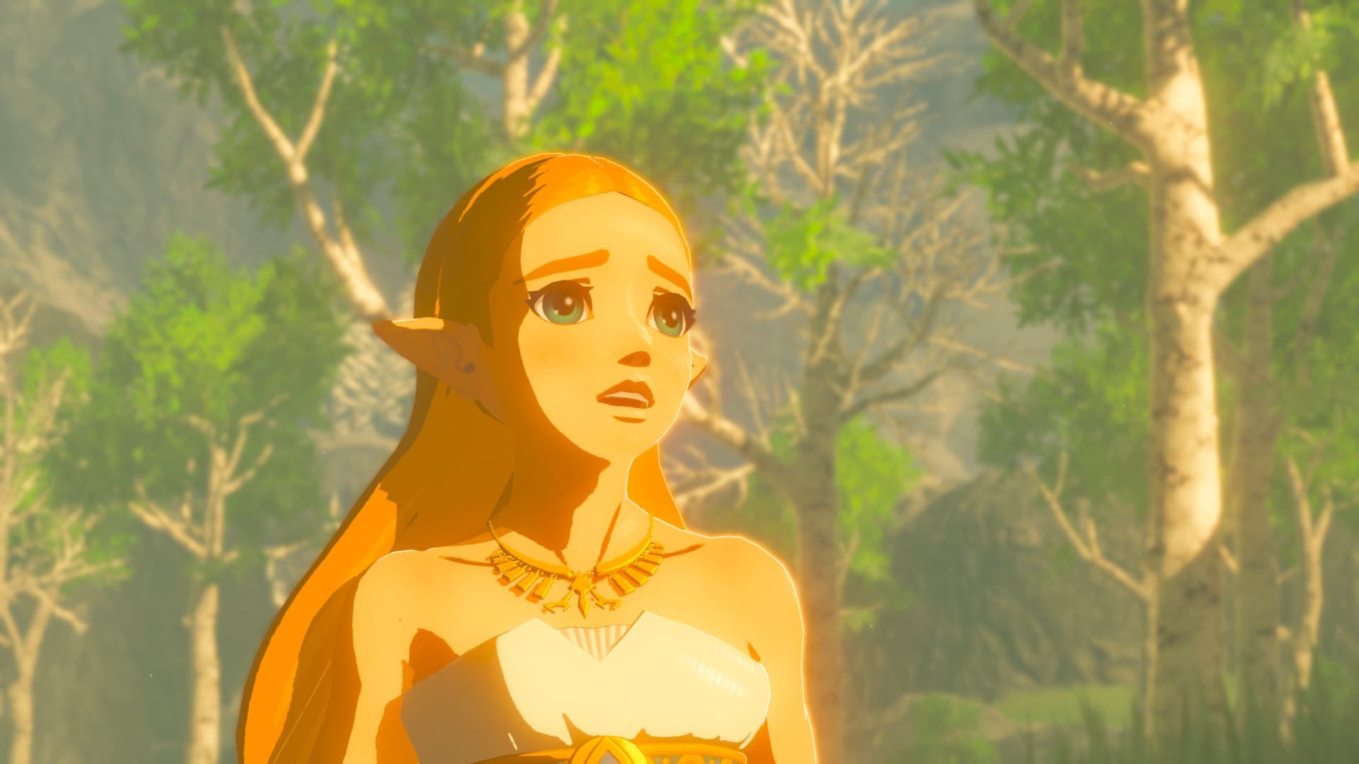 The Legend of Zelda: Breath of the Wild screenshot 2