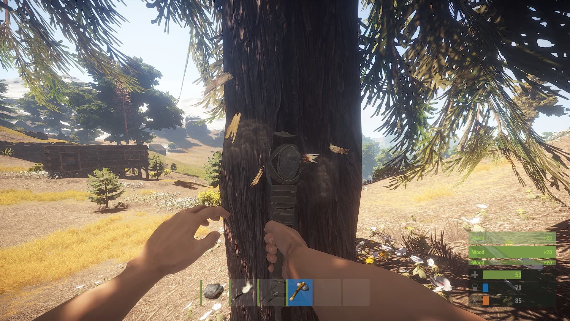 Rust screenshot 5