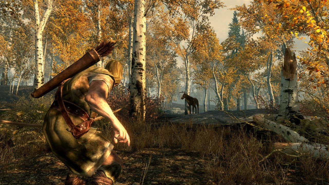 The Elder Scrolls V: Skyrim screenshot 5