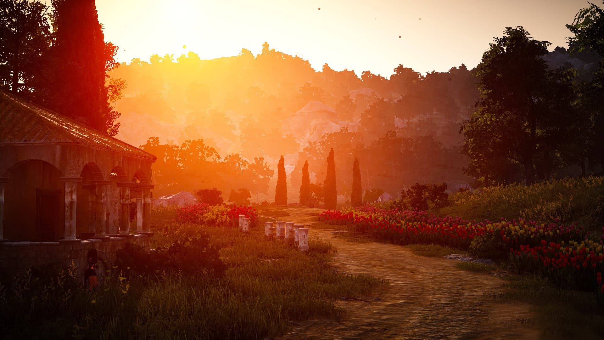 Black Desert Online screenshot 5