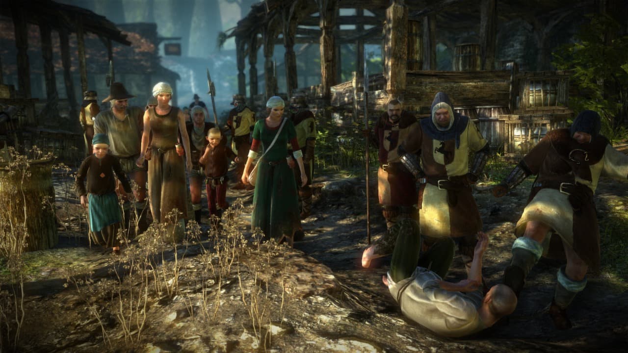 The Witcher 2: Assassins of Kings Enhanced Edition screenshot 4